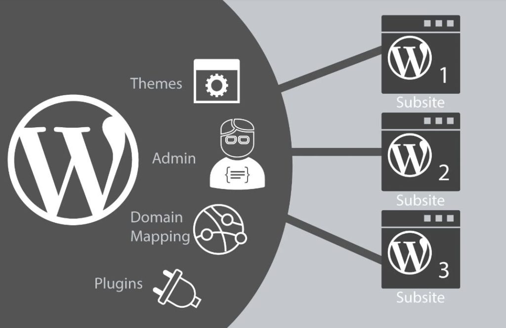 WordPress Multisite Network And Installation Process.